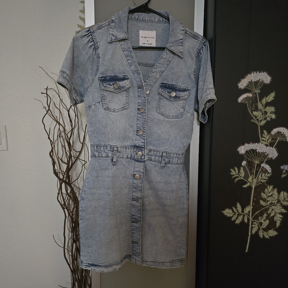 Celebrity Pink Denim Minidress